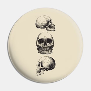 Three skulls Pin