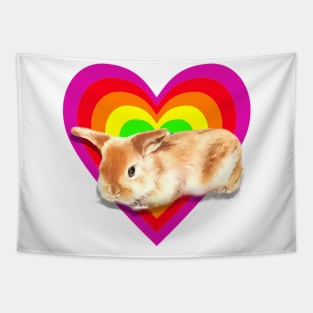 Gorgeous baby satin mini lop in a heart design! Tapestry