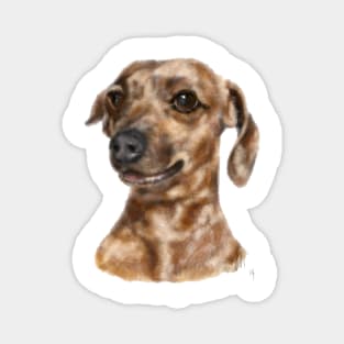 Happy Smiling Dachshund Puppy Dog Magnet