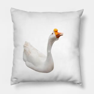 Duck Pillow