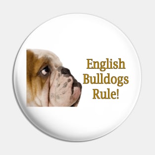 English Bulldogs Rule! Pin