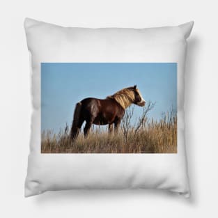 Assateague Beach Ponies Series - 03 Pillow