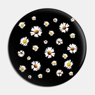 Daisy Collage (Bellis perennis, Asteraceae) Pin