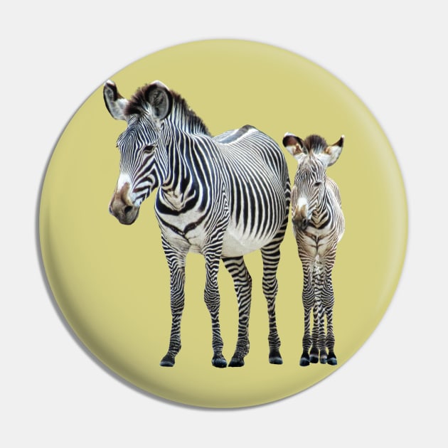 Zebra - Mama with offspring in Kenya / Africa Pin by T-SHIRTS UND MEHR
