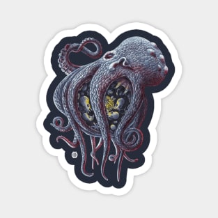Keuppia Octopus Magnet