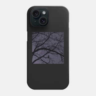 Nightfall Phone Case