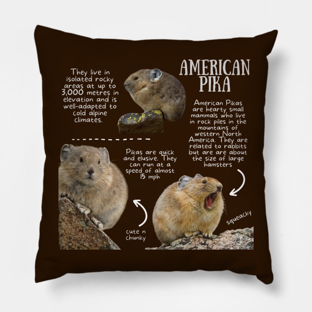 Animal Facts - Pika Pillow by Animal Facts and Trivias