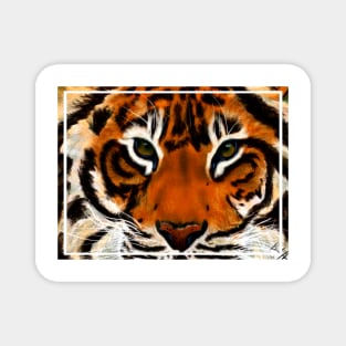 Tiger Eyes Magnet