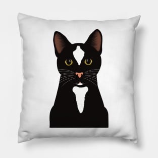 Hey! What are you doing? Cute curious Black cat watching you. Pillow