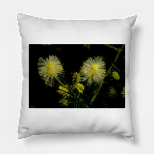 Prickly Moses Pillow