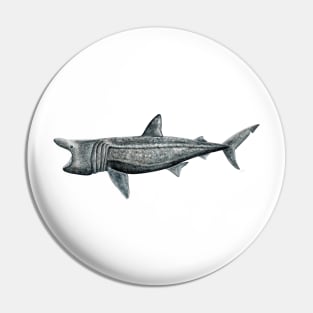 Basking shark Pin