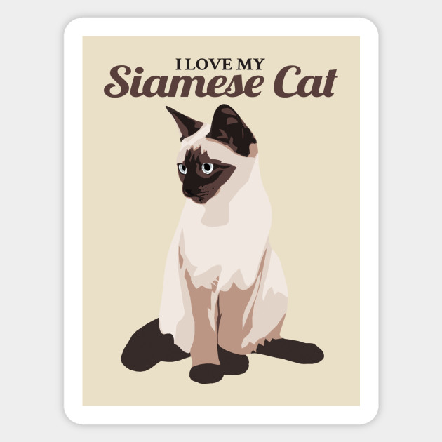 I Love My Siamese Cat Siamese Cat Sticker Teepublic