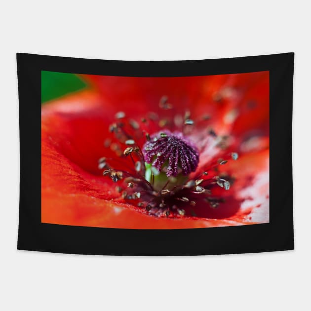 Heart of a Poppy macro Tapestry by InspiraImage