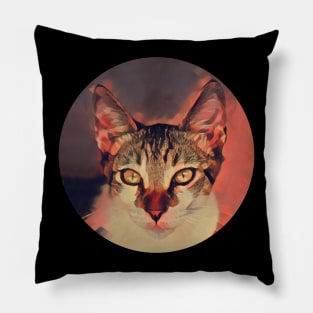 Family-Friendly floppy cat Pillow