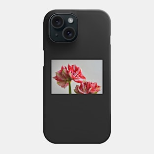 Amaryllis Phone Case