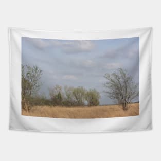 Kansas Colorful Countryside Tapestry