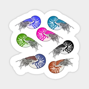 Nautilus Pack Magnet
