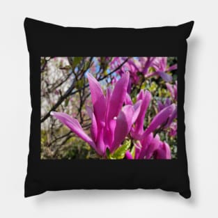 gift for birthday  happy birthday beautiful magnolia flower Pillow