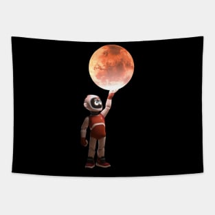 Mono To Mars Tapestry