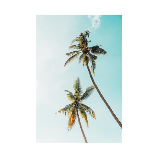 Summer Palm Trees by NewburyBoutique