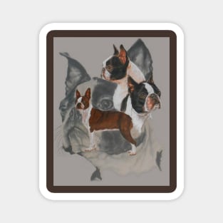 Boston Terrier Medley Magnet