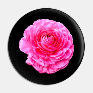 Rose Rose on black Pin