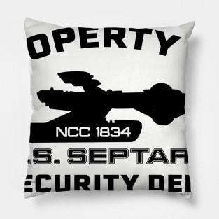 SECURITY Pillow