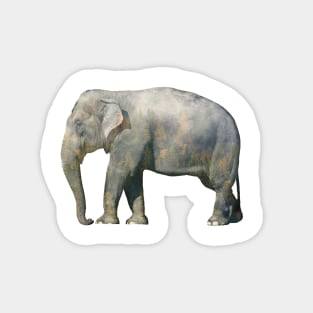 Lonely elephant Magnet