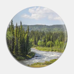 USA. Alaska. Denali National Park. River. Pin