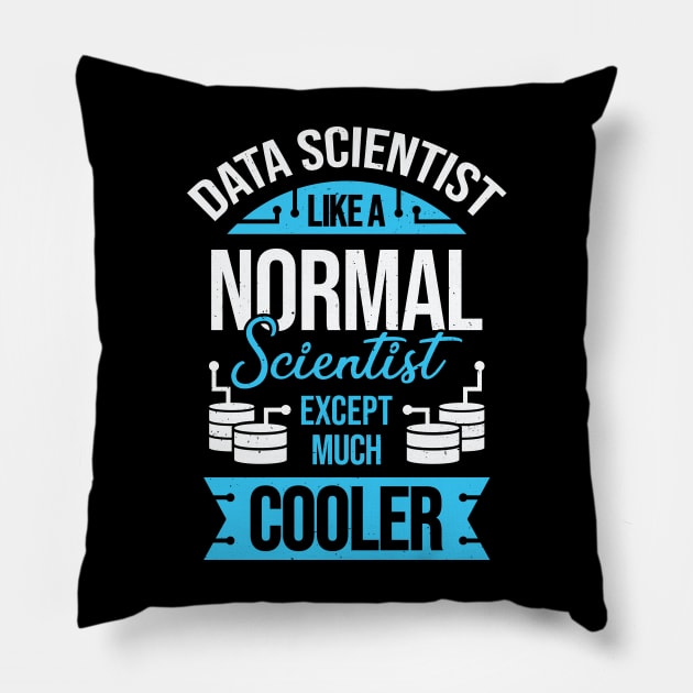 Funny Data Science Scientist Gift Pillow by Dolde08
