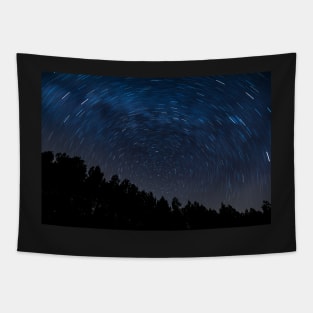 Beautiful Star Trail Tapestry