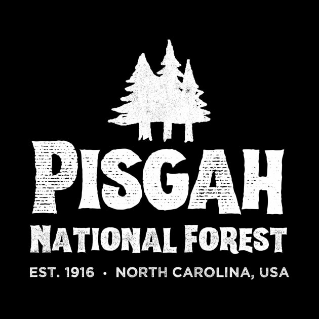 Pisgah National Forest - Hiking Camping by Weirdcore