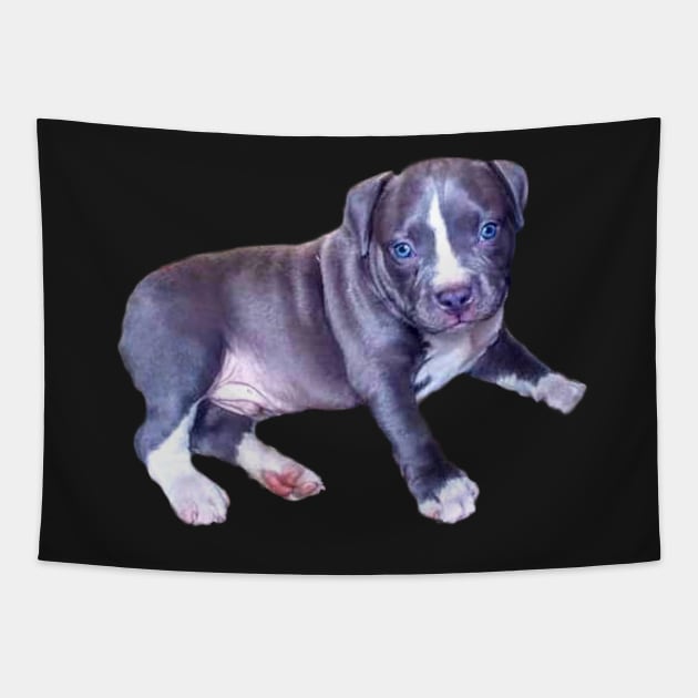 Cute Blue line pit bull dog puppy - with blue eyes Tapestry by Artonmytee