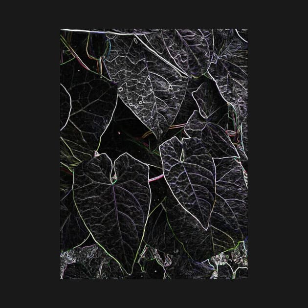 Black Ivy by MagsWilliamson