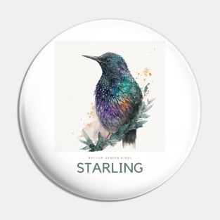 British Garden Birds: Starling Pin