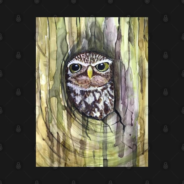 Little Owl by Juliejart