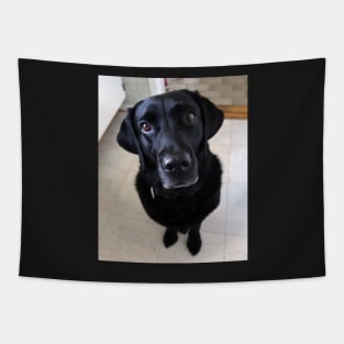 Sia 8 years old Labrador Tapestry