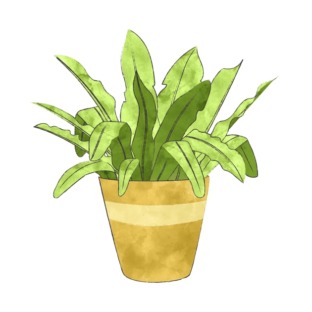 Bird&#39;s Nest Fern by ALaTati