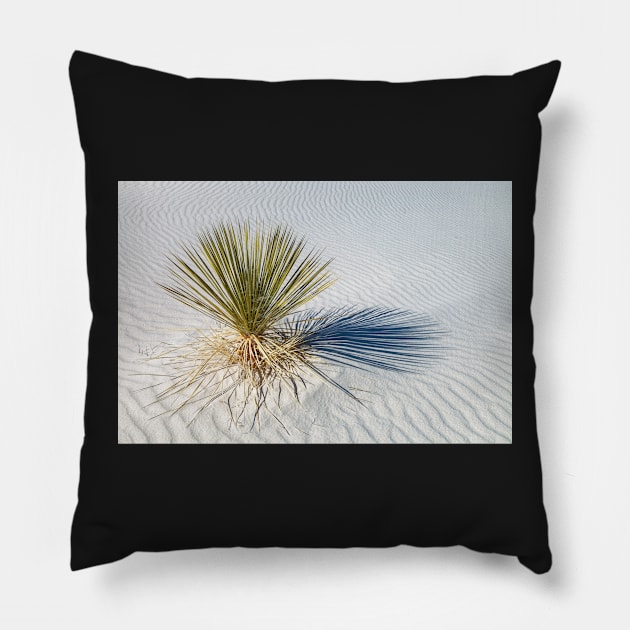 Soaptree Yucca Pillow by jvnimages