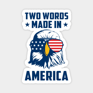 Joe Biden Says Two Words Made In America USA American Flag Funny Biden 2 Words Quote Magnet