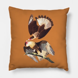 Caracara Eagles No. 2 Pillow