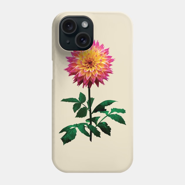 Pink and Yellow Dahlia Phone Case by SusanSavad