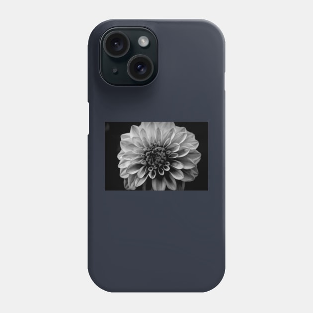 Designer 143064 x3 Phone Case by CGJohnson