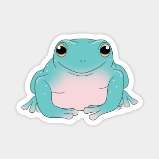 Whites Tree Frog or Australian Green Tree Frog, Blue Coloration Magnet