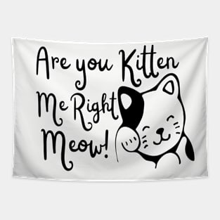 Are You Kitten Me Right Meow! Tapestry