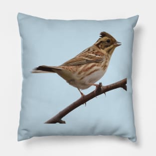 Rustic Bunting Bird Vector Isolated Pillow