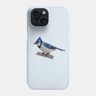 Perched Blue Jay Phone Case