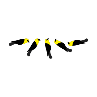 Tumbling yellow-headed blackbirds T-Shirt