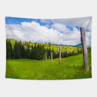 Carpathians village panorama Tapestry