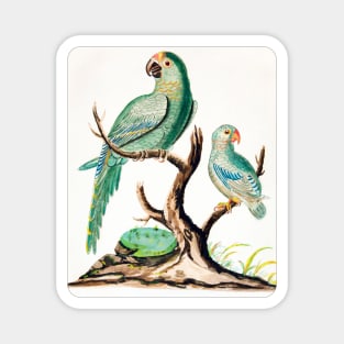 Two Parrots on a Barren Tree (1916) Magnet
